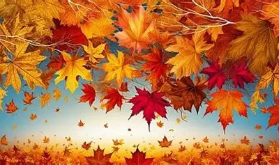 Vetrarfrí í Tónlistarskólanum